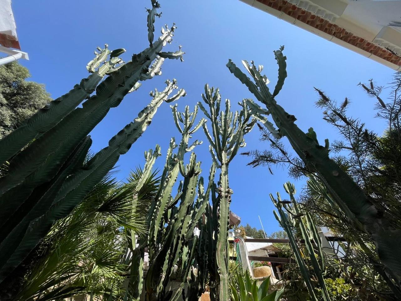 Casa Dieter Cala Galdana  Dış mekan fotoğraf